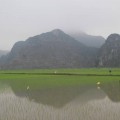 Vietnam-Ninh-Binh-Tam-Coc-4