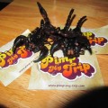 manger-scorpions-les-defis-de-pimp-my-trip–1