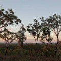 kakadu-national-park-australie-14