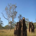 kakadu-national-park-australie-21