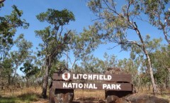 litchfield-national-parc-darwin-australie--12