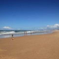noosa-sunshine-coast-australie-14