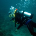 plongee-cairns-tusa5-australie-reef-11