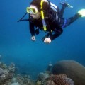 plongee-cairns-tusa5-australie-reef-15