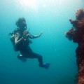 plongee-cairns-tusa5-australie-reef-30