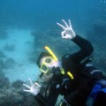 plongee-cairns-tusa5-australie-reef-42