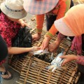 Kep-Crabes-Cambodge-13